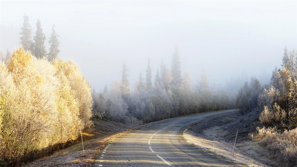 Autumn road in northern Sweden 