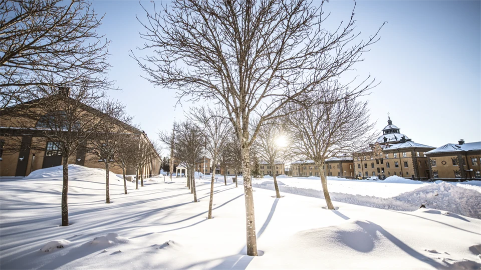 Campus Östersund,exterior image