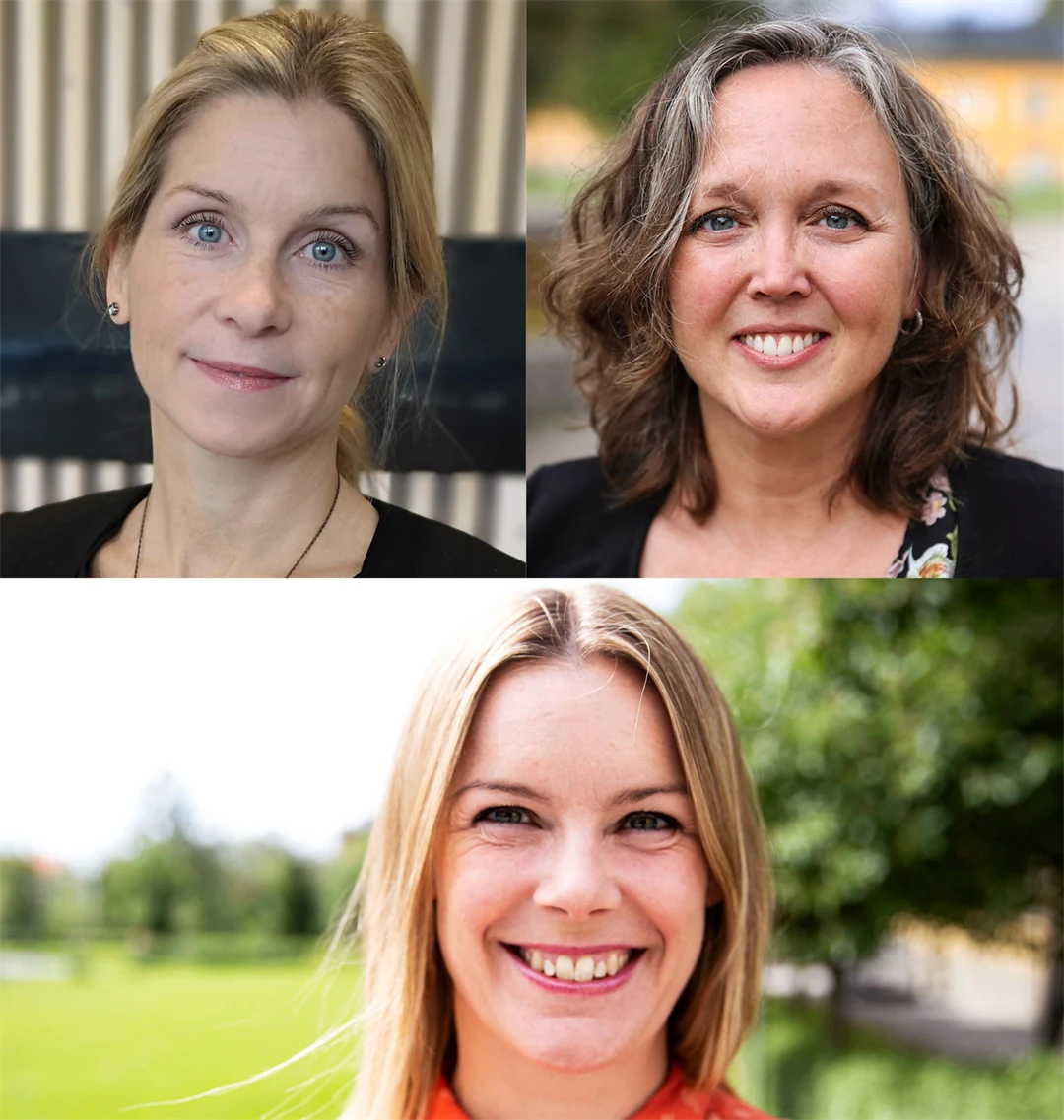 Sandra Wall Reinius, Rosemarie Ankre och Kristin Godtman Kling, ForskarFredag 2024, Science Afterwork,