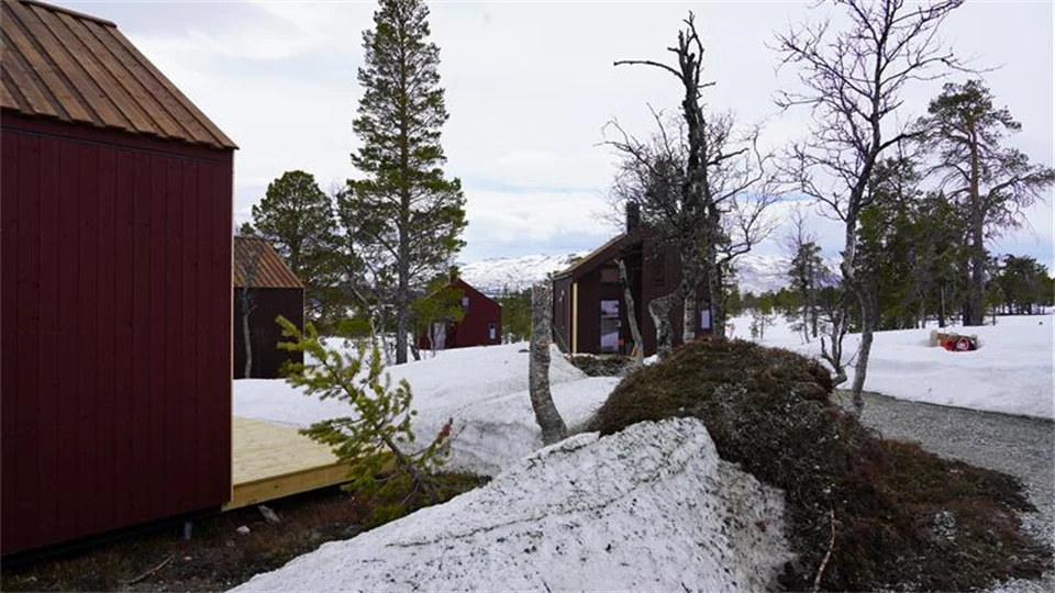 Röda hus i landskap med snö