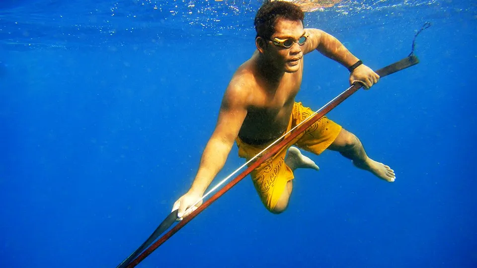 Indonesisk Bajau-fridykare som harpunfiskar