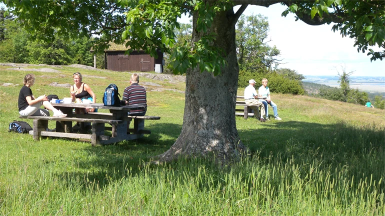 Fikapaus i naturen