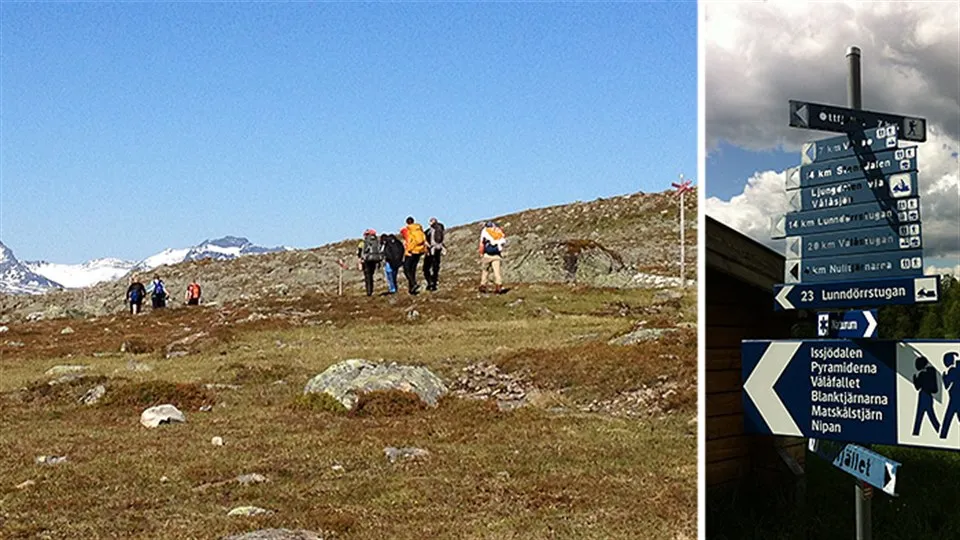Vandring i södra Jämtlandsfjällen
