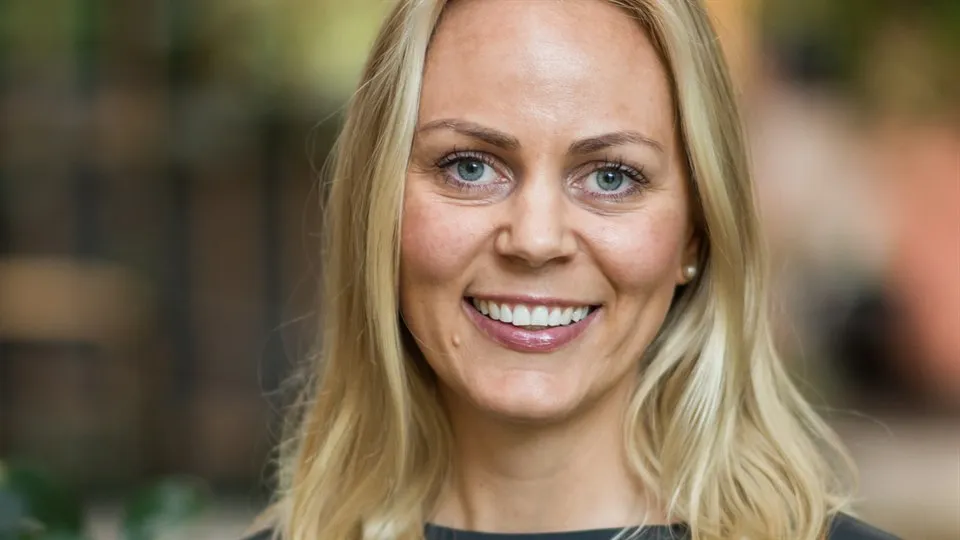 Energiinegnjör