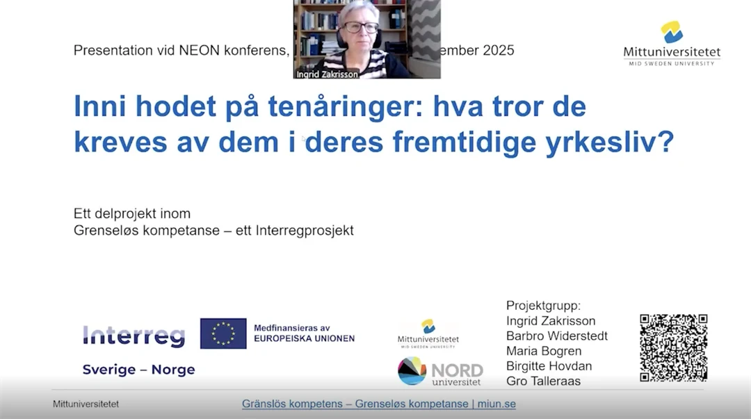 Gränslös kompetens föreläsning skärmbild