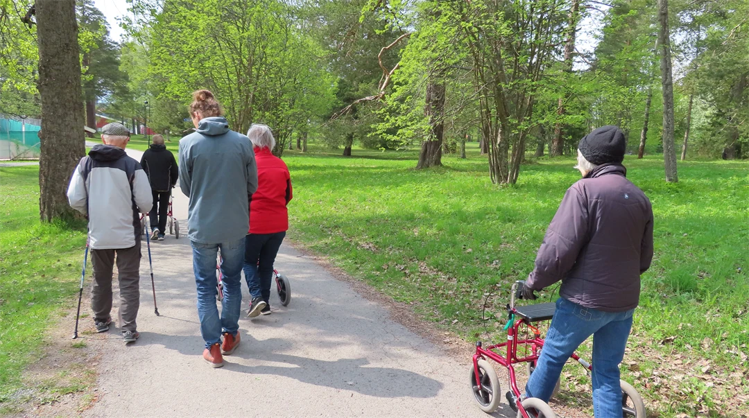 En grupp äldre personer går tillsammans med en yngre person på promenad i en grönskande park, några med rullator och någon med stavar.