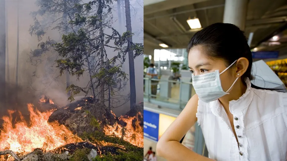 Till vänster: Skogsbrand med lågor som slår upp från marken. Det är rök i luften som gör träden i bakgrunden svåra att se. Till höger: En ung kvinna i vit blus, och munskydd.
