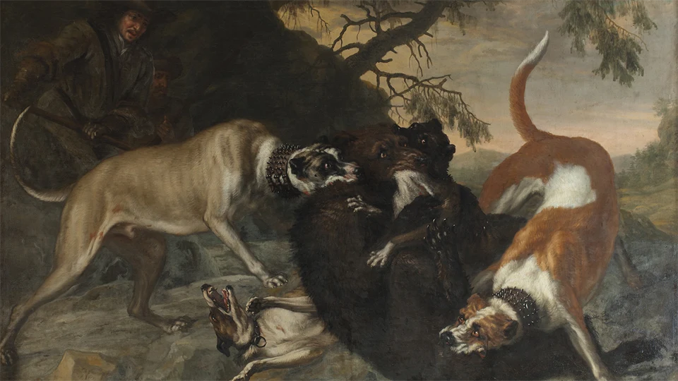 A painting of a dark brown bear fighting with four dogs.