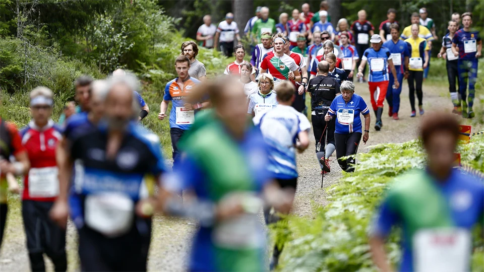 Stor grupp människor ägnar sig åt orientering