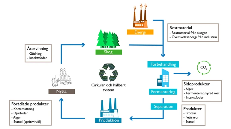 Foodtech process illustration