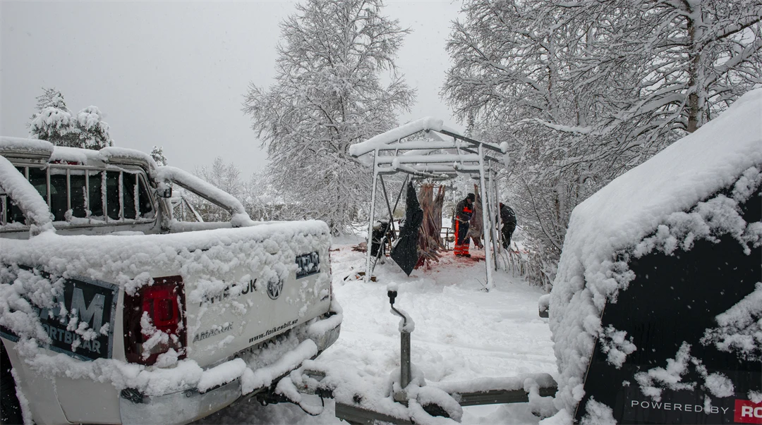Bil med släpvagn i förgrunden, person som slaktar en ren i bakgrunden.