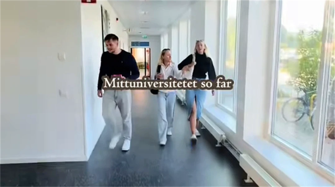 Mittuniversitetet so far