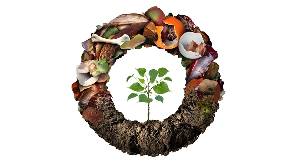 Composte Life Cycle Symbol