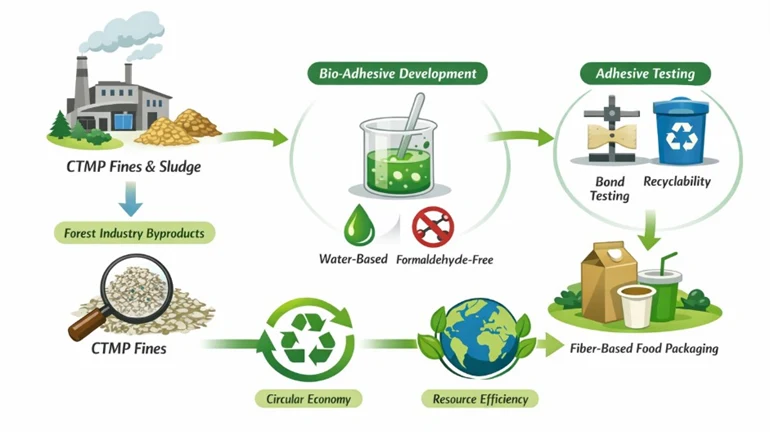 An illustration showing different stages of a process.