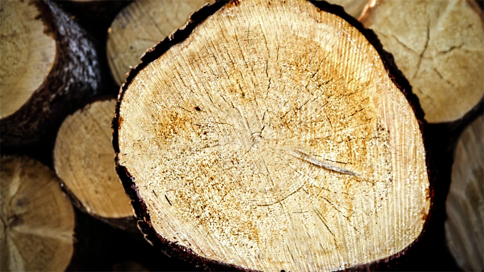 Logs.