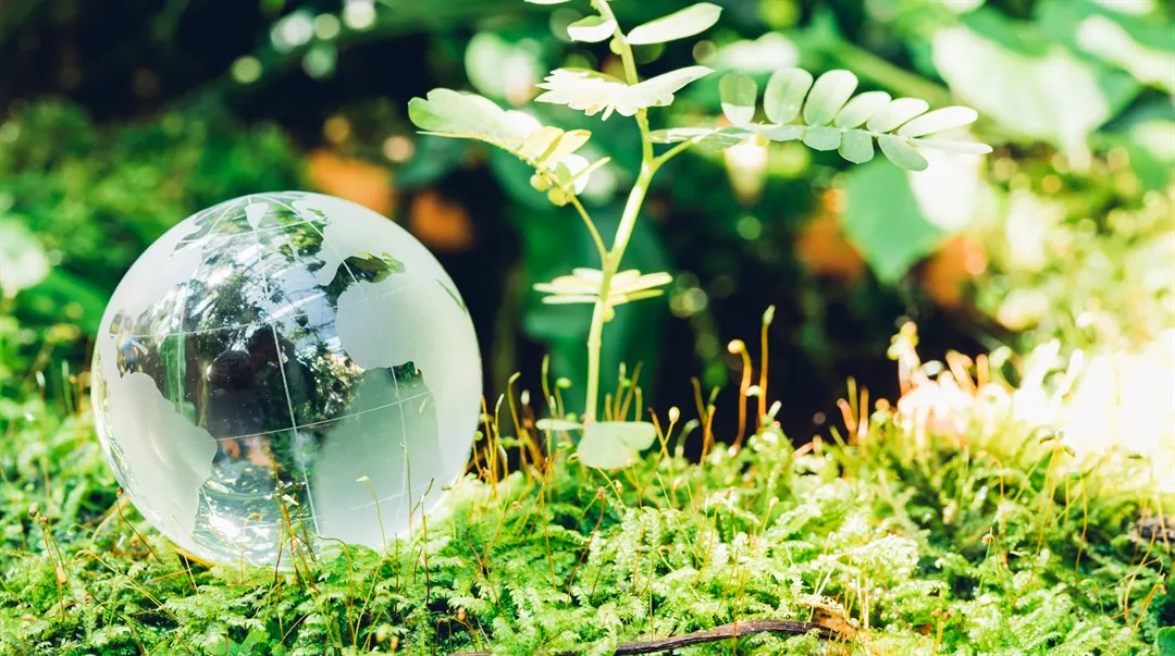 Jordglob miljö natur