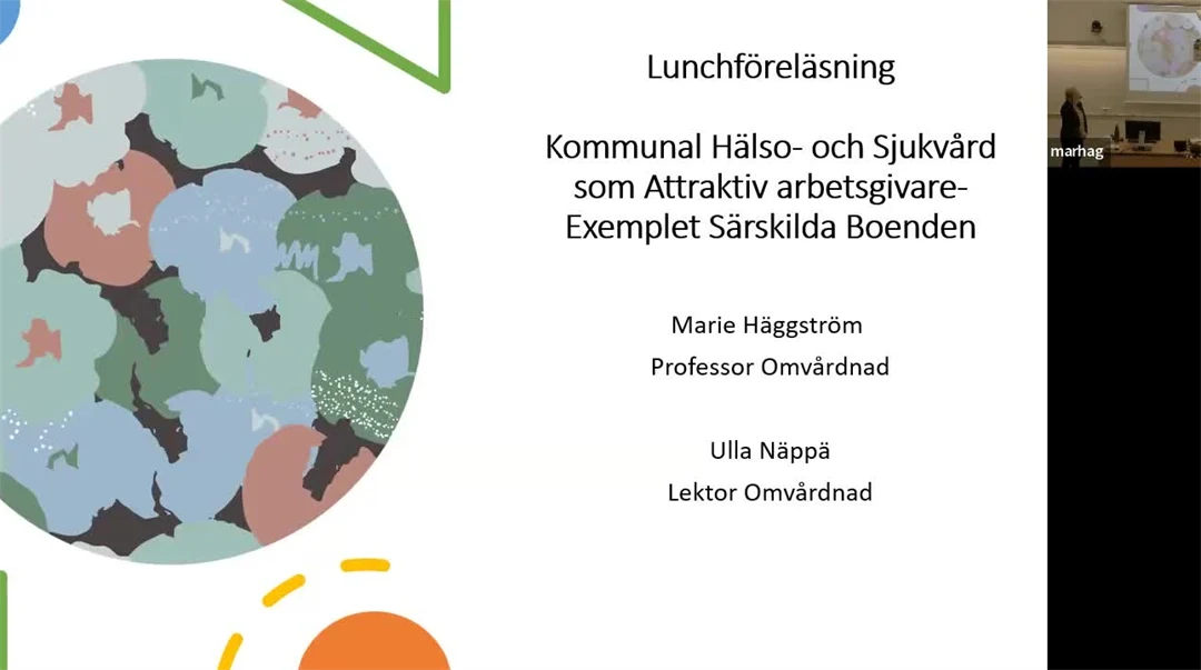 Skärmbild från video av lunchföreläsning om magnetmodellen.