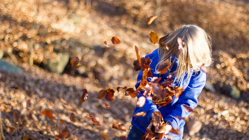 A child that is playing with leafs in the fall