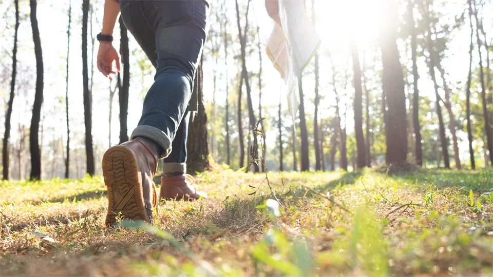 En person promenerar i en gles skog. Personen syns från midjan och ner. Solen skiner.