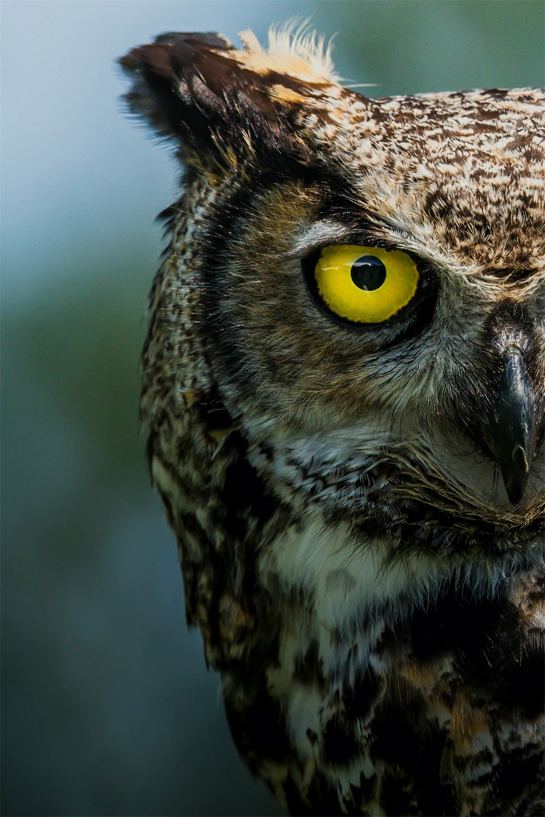 jeremy-hynes-2VsPnDt2SQs-unsplash