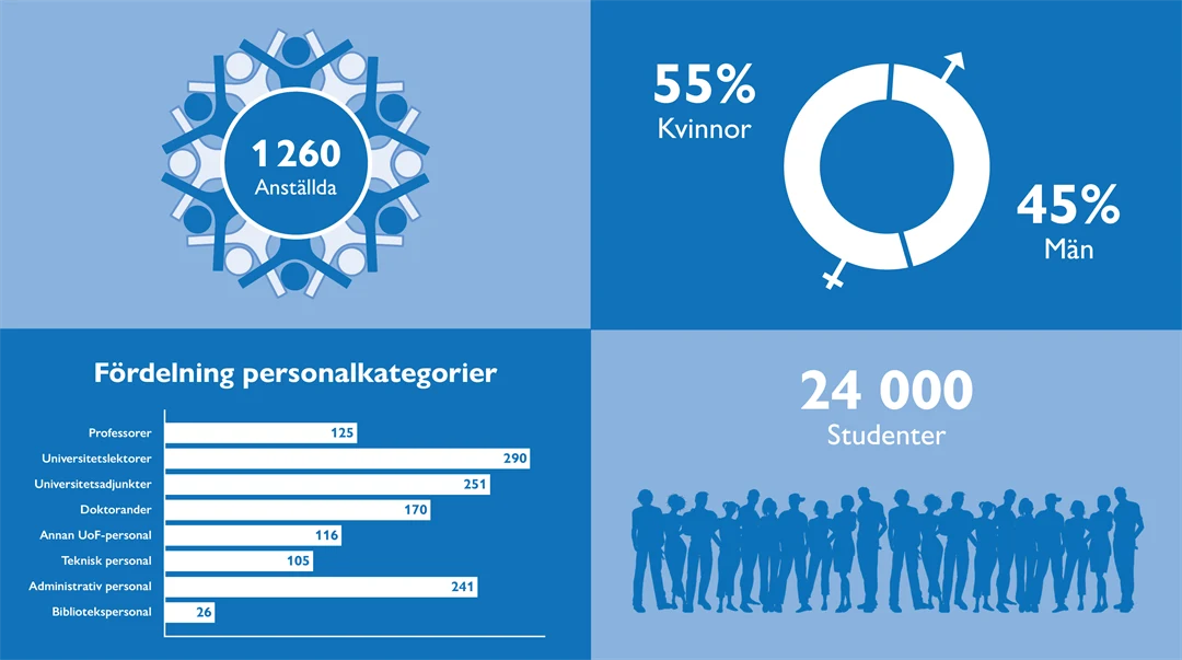 Grafik över antal anställda och studenter