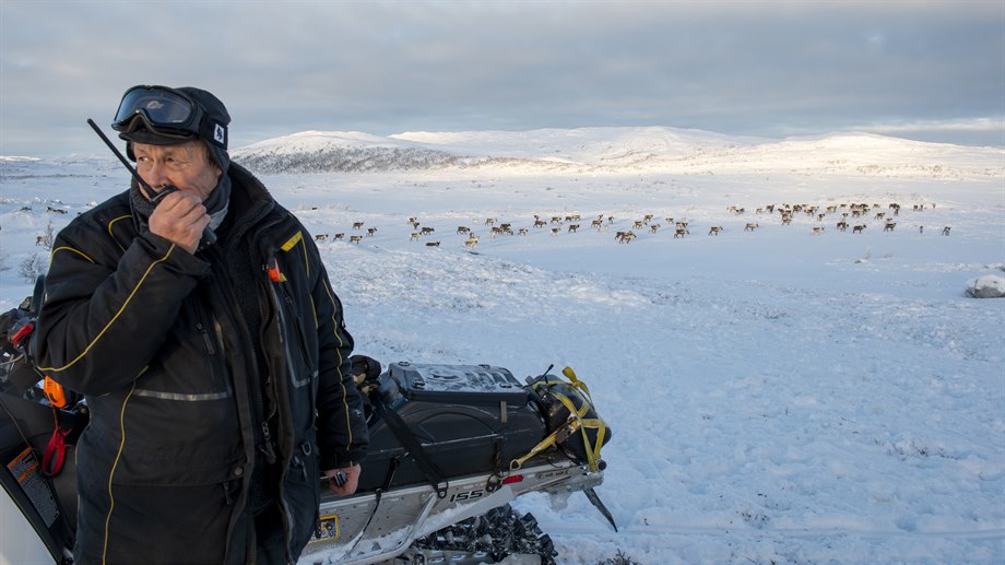 Rensamling vid Njallevartoe, Låarte sijte.