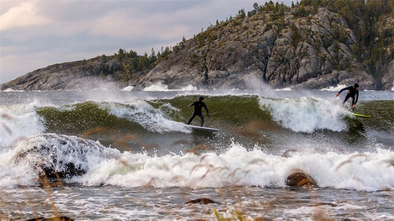 Surfare som surfar i vågorna utanför Härnösand.