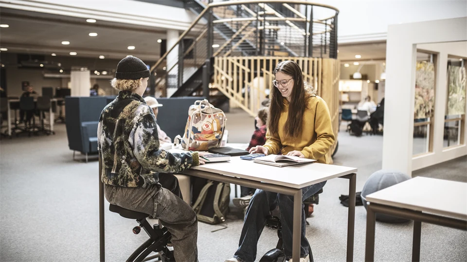 Studenter i campusmiljö.