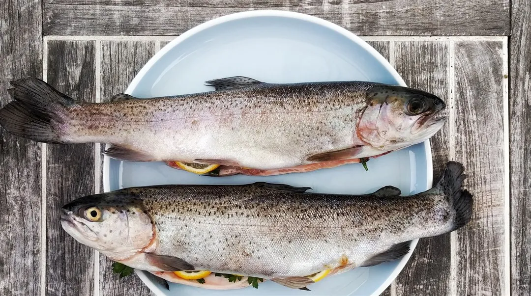 Fisk på ljusblå  tallrik