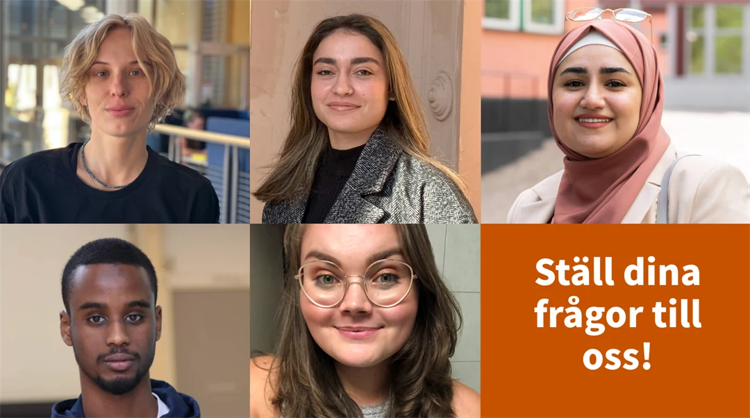 Bilder på våra studentambassadörer.