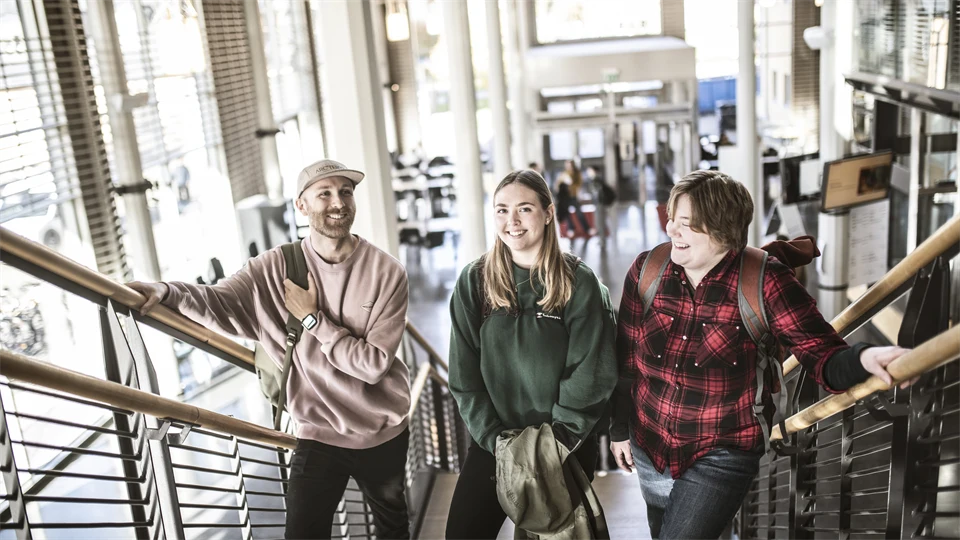 Studenter i campusmiljö.