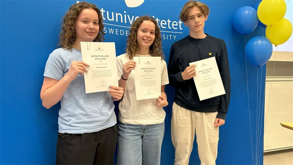 Pristagarna i Mittuniversitetets uppsatstävling ståendes på rad