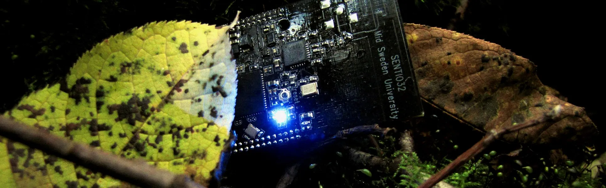 Trådlös sensor i skogen