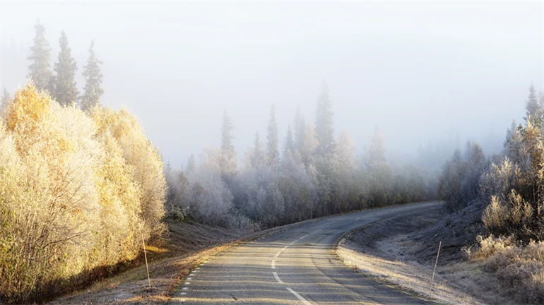 Höstväg i norra Sverige