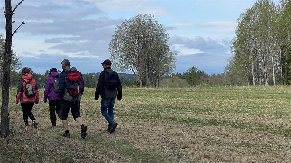 Fyra personer på vandring med ryggsäckar på sig i naturlandskap. 