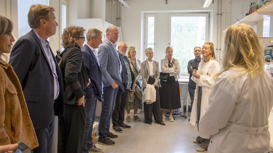 Knowledge Foundation visits MIUN