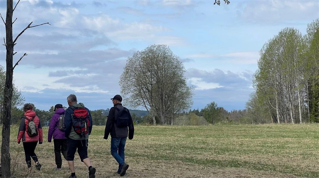 Four people hiking with backpacks in a natural landscape.