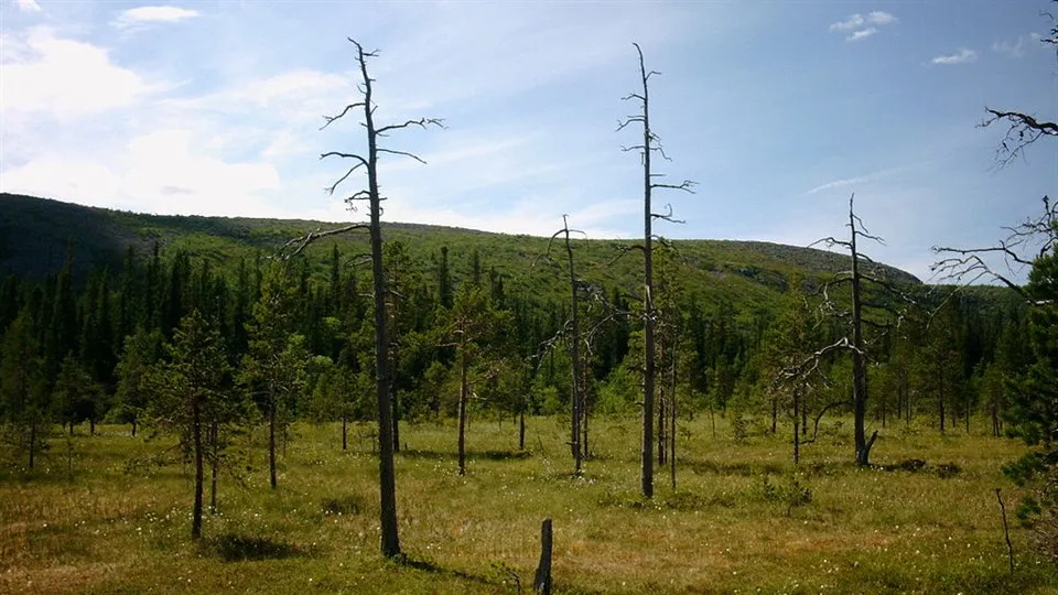 Fulufjället