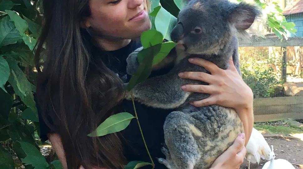 Julia pluggade på CQU Rockhampton, Australien och passade på att kramas med en koala