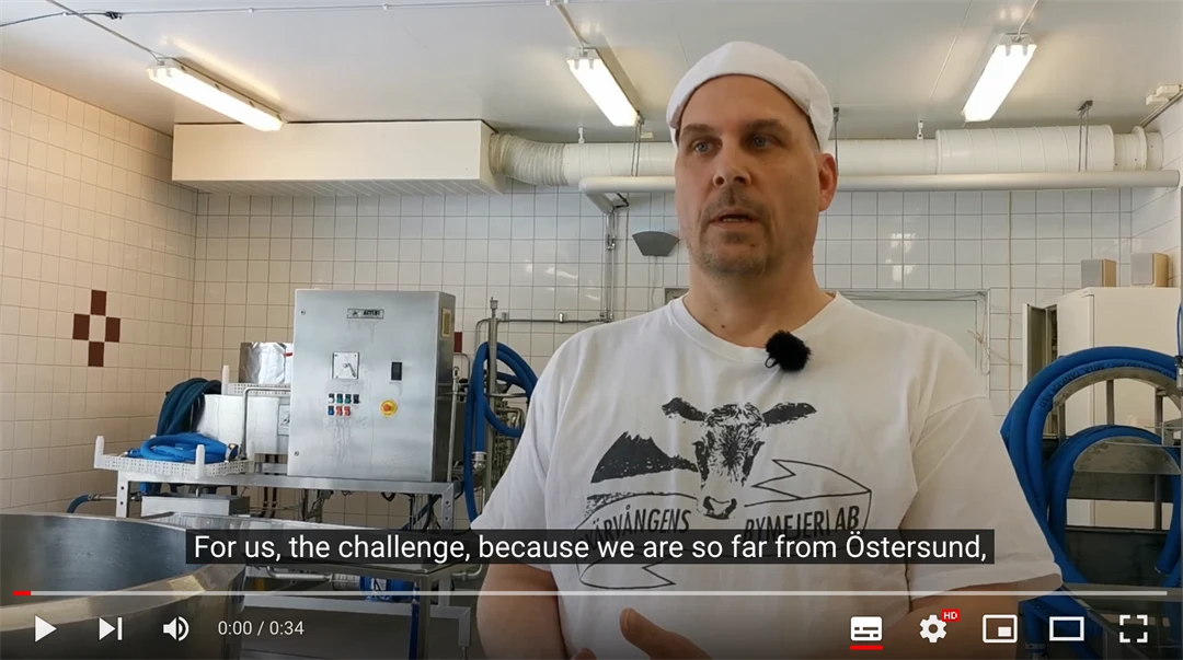 Patrik Östlund, Skärvångens village diary