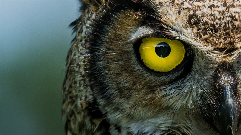 jeremy-hynes-2VsPnDt2SQs-unsplash