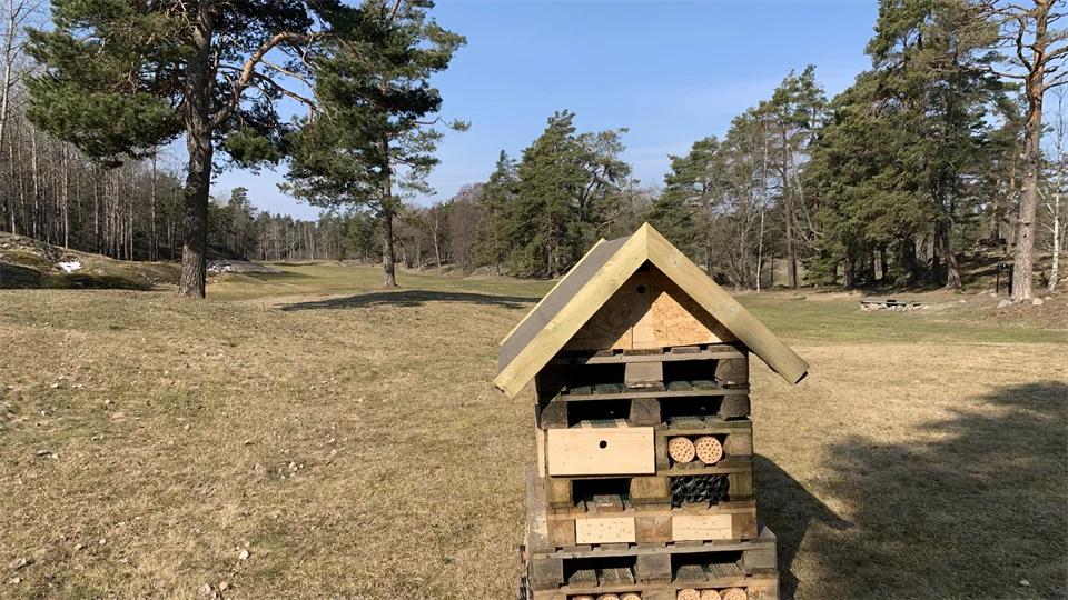 insect hotel