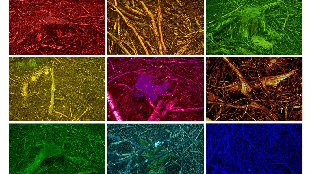 Agenda 3020 galleri vy