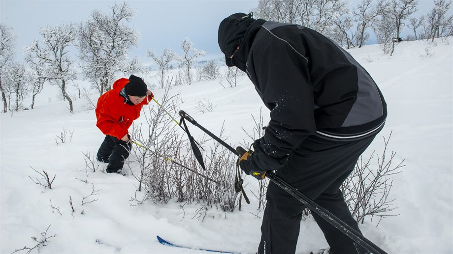 Daniel och aajja / farfar Bengt Åke Jåma snarar ripa.