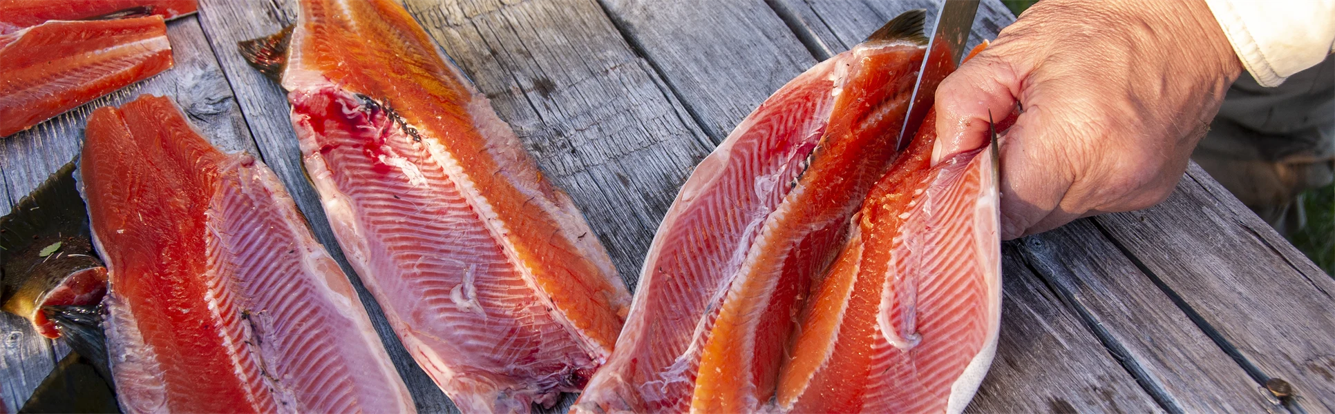 Händer som rensar fisk.