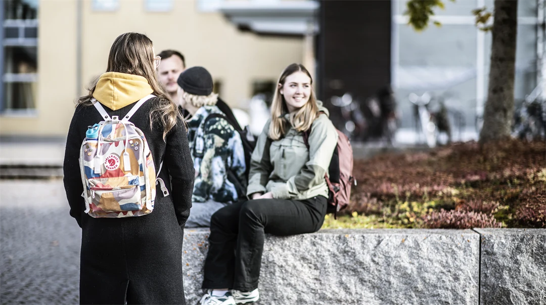 Studenter i campusmiljö.
