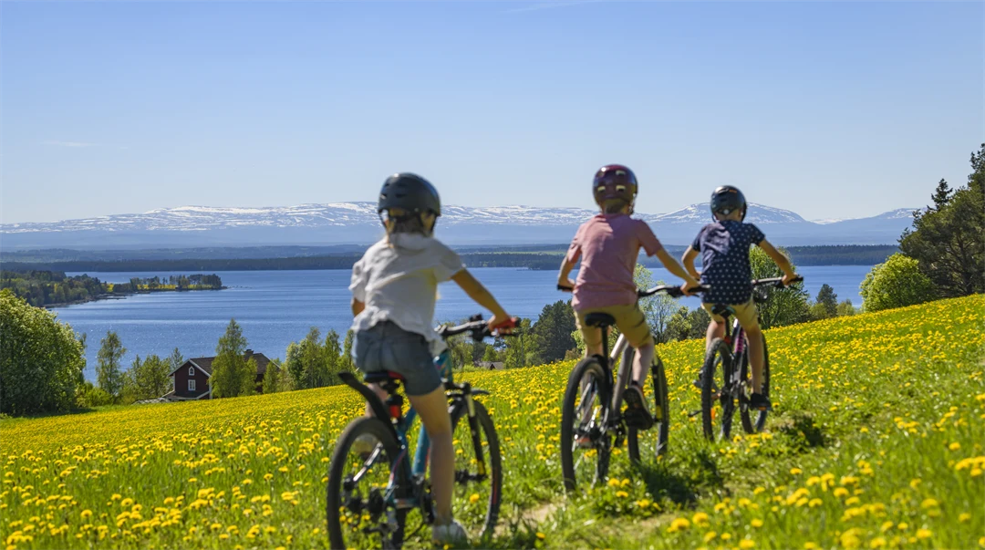 Tre flickor cyklar på en sommaräng med vy över Storsjön och fjällen.