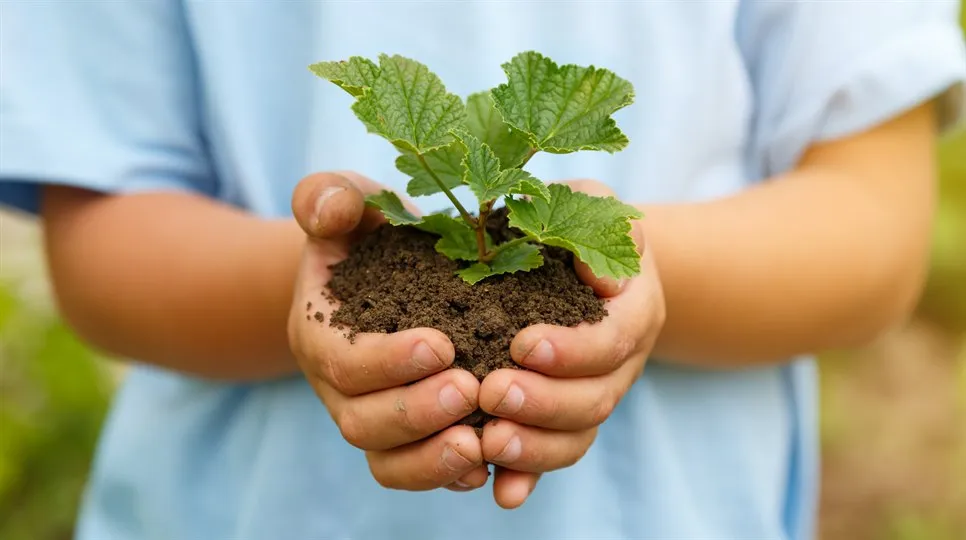 barn håller jordig planta i bägge händerna