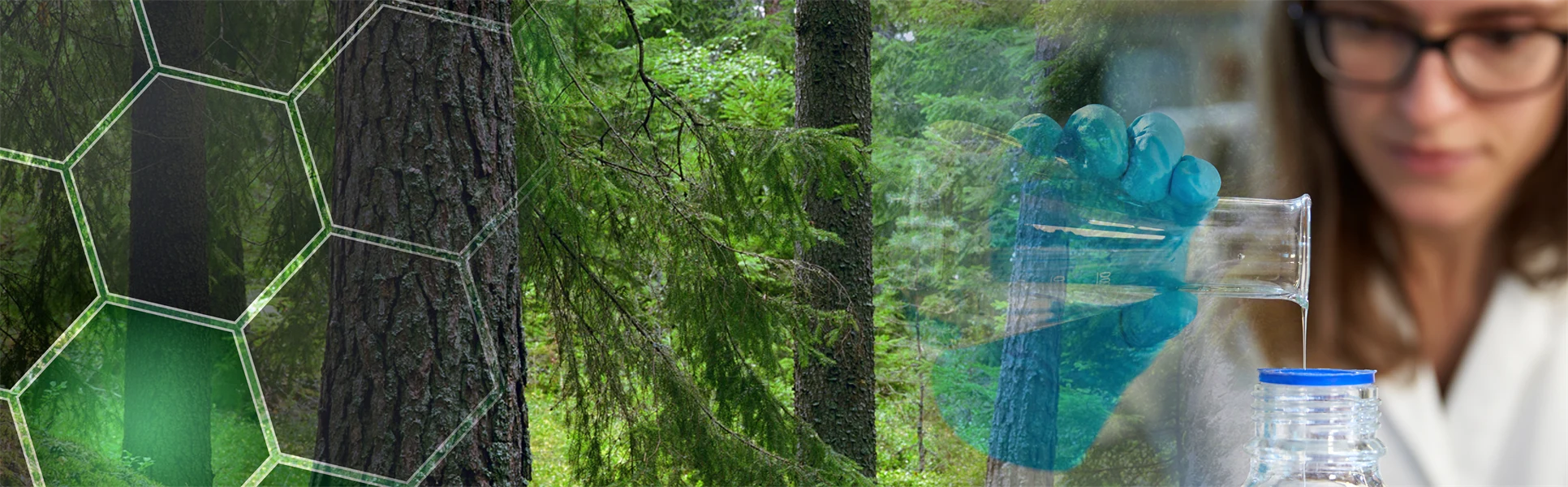 A montage of an image of a forest and a woman in a laboratory environment.