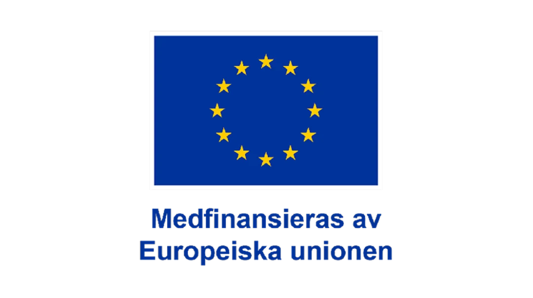 Medfinaniseras av EU
